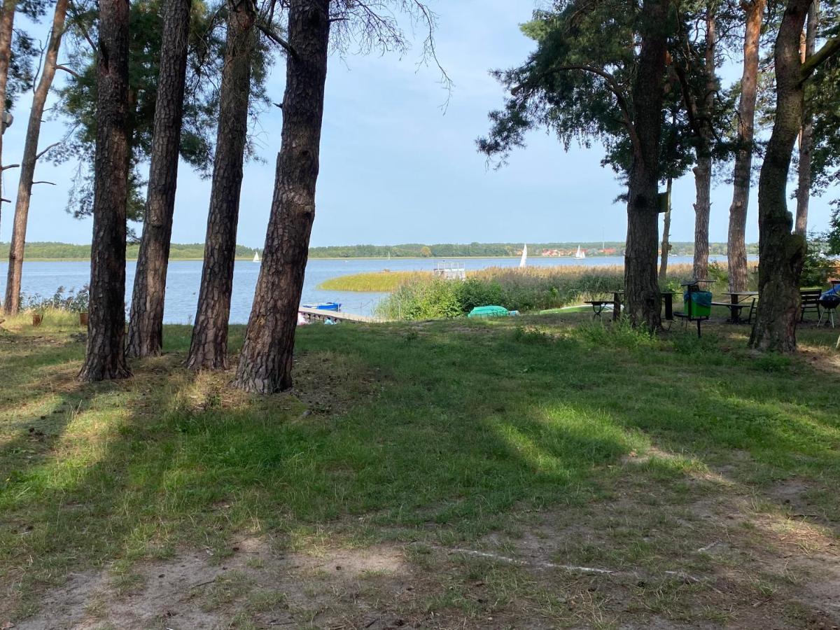 Apartament Wiewiorka Radzyń المظهر الخارجي الصورة